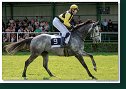 SILVER TRAIN (IRE) - am. Blumenauer Michelle - Herr Stummer Johann (AUT) 