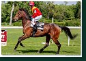 SLEEKY TIGRESS (GER) - am. Hodáň Peter - HONOR Racing 
