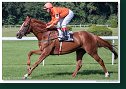 STAR´S SONG (GER) - Lopez Jean Pierre - Stall Allegro (AUT) 