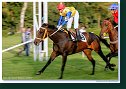 WANESA - Zálesňáková Zuzana - Autoopravovňa Strnisko 