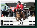 Elian Baumann, SUI  - Little Lumpi E 