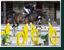 Rupert Carl Winkelmann, GER - Omar van de Hunters 