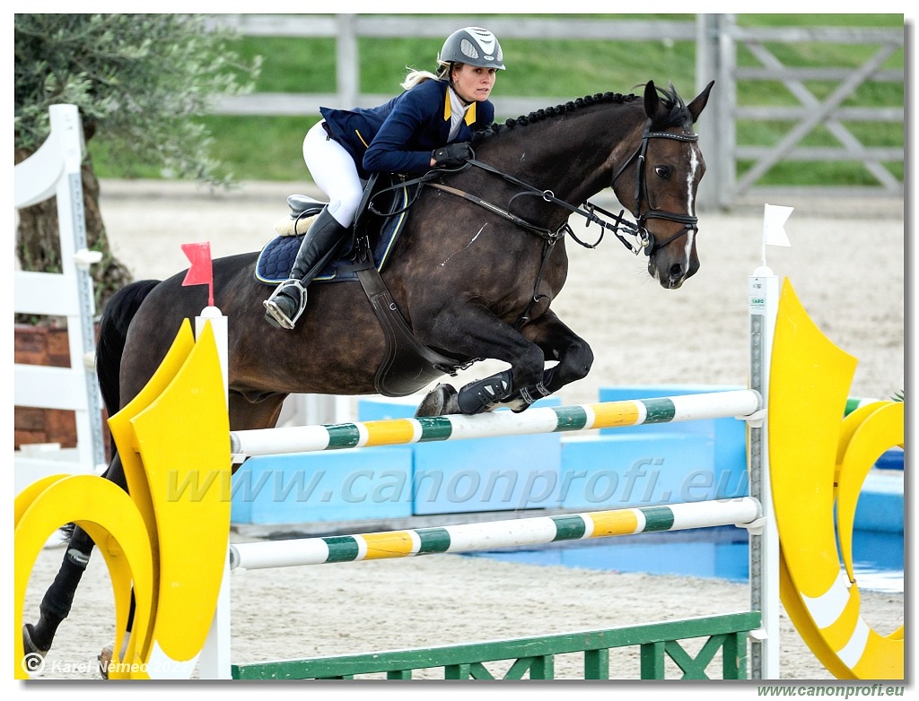 Danube Champions Tour - CSI1* - Big Tour - 1.30m