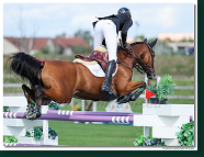 Central European League - CSI3* - Grand Prix - 1.50m