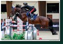 FILIPPO MARCO BOLOGNI, ITA - BERNINI GP 