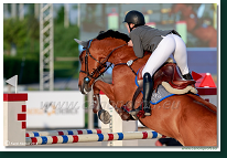 Šamorín - CSI2* Grand Prix - 145 cm