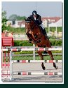 Fearless B - Metzger Thomas, AUT