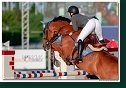 Cascaro - Markel Anna, AUT