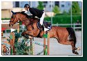 Derby - Cigan Jan Jun., SVK