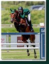 CHAQUI Z - SWEETNAM Shane, IRL