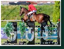 DRIANDRIA - BUCCI Piergiorgio, ITA