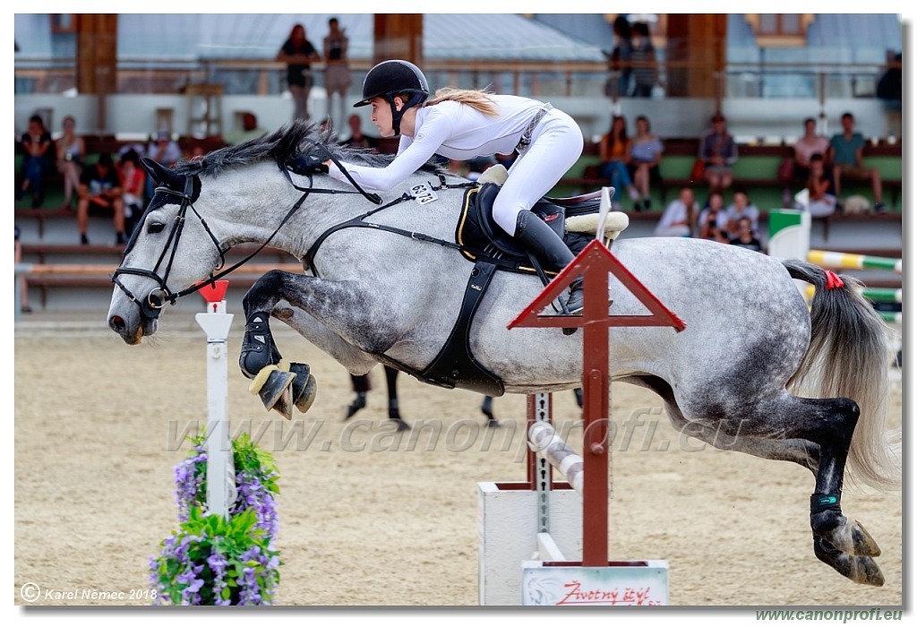 Rozálka Grand Prix 16th June 2018 - 130 cm