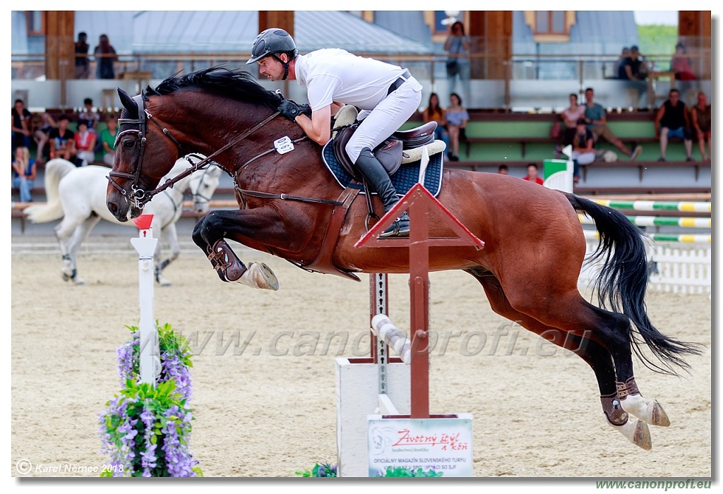 Rozálka Grand Prix 16th June 2018 - 130 cm