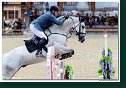 Mock Henrich - CANE CALVIN TOLTIEN Z