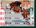 Tailormade Chaloubet - Pedersen Sören, DEN
