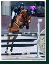 Tereza SVOBODOVÁ - KLEINER LORD 16, CZE