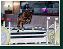 András KÖVY - FAQUITOL S, HUN