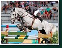 Artuur JH Z - Goffinet Thierry, BEL