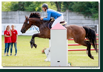 Youngster Tour - 5Y