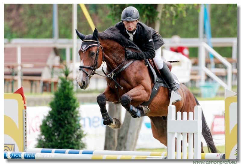 Youngster Tour - 5Y