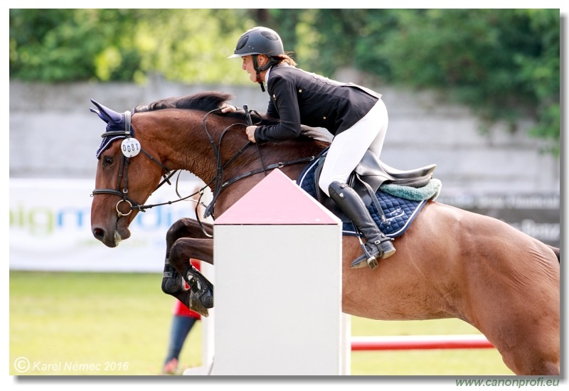 Youngster Tour - 5Y