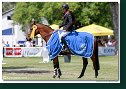 SOHO DU PLESSIS - DEROUBAIX Alexis, FRA 