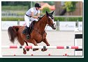 FIJEN Amber, NED - FOR KAZIMIR VD SCHOORDIJKHOEVE