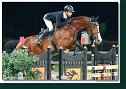 SCHOBER Philipp - ZANDIGO T S, GER
