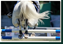 Little Prix Bratislava