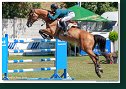 Wilexo - Carlos Ribas, BRA