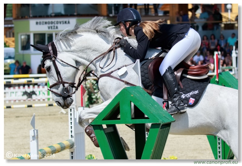 PARAGAN Grand Prix