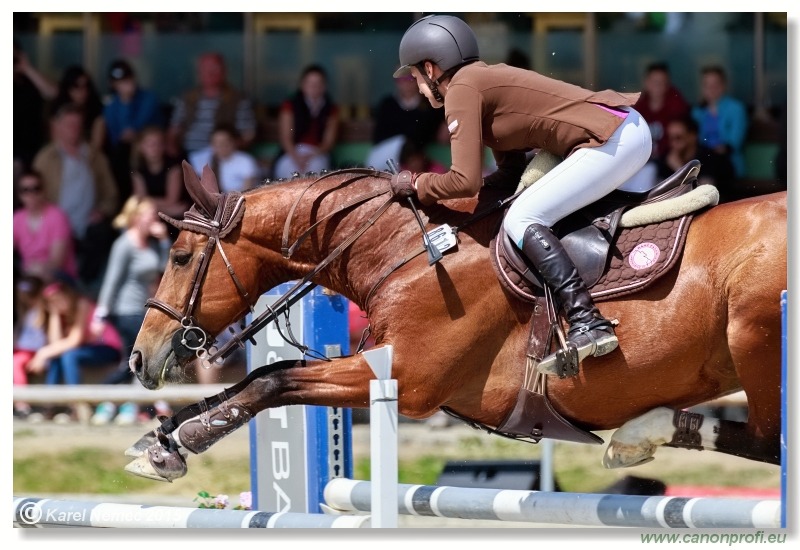 PARAGAN Grand Prix