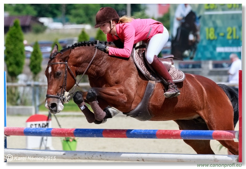 PARAGAN Grand Prix