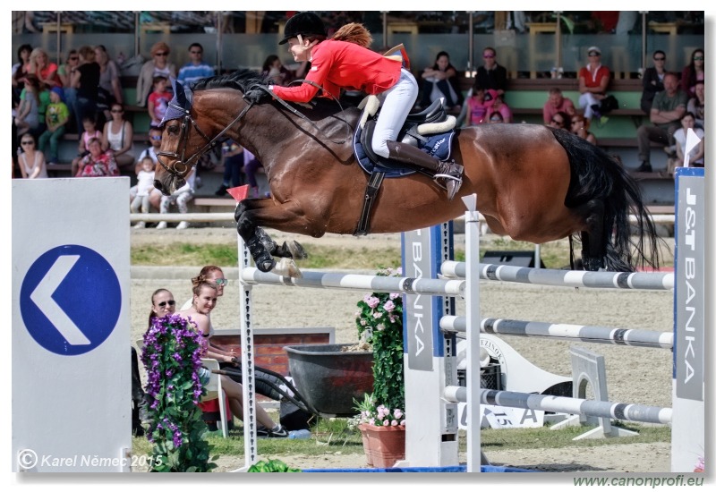 PARAGAN Grand Prix