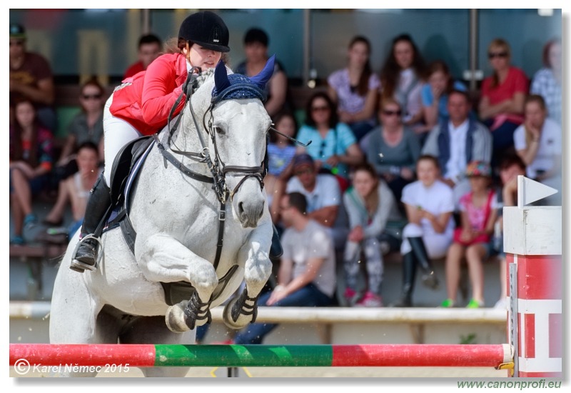 PARAGAN Grand Prix