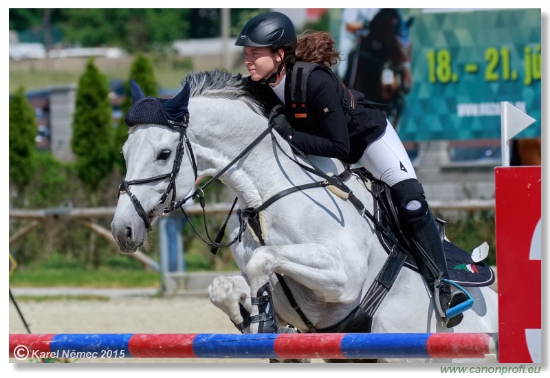 PARAGAN Grand Prix