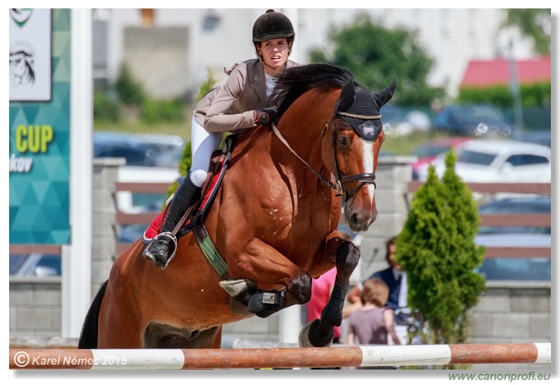PARAGAN Grand Prix