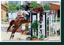 Krišpinská Katarína ml. - NIAGARA RECORD