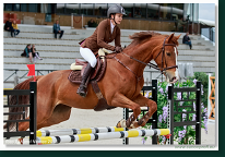 CSI2* - Medium Tour