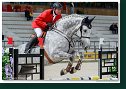 Konlechner Erich - THANK YOU DUMBO 