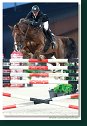 APPELEN Jeroen, BEL - ANDRETTI Z - 160 cm