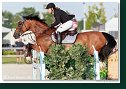 ALPENSPAN CITADELLE - PIRKER Gudrun, AUT