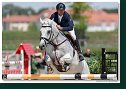 CAVALINO G - GIERLINGER Franz, GER 