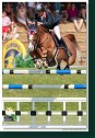 TIP TOP MURY MARAIS Z - MC ENTEE Patrick, AZE