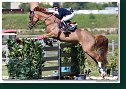 BABY FEE DES HAZALLES - DAIGNEUX-LANGE Fabienne, BEL