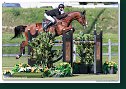 ZANDIGO T S - SCHOBER Philipp, GER