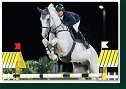 DASSINO - GORDON Elliott, GBR