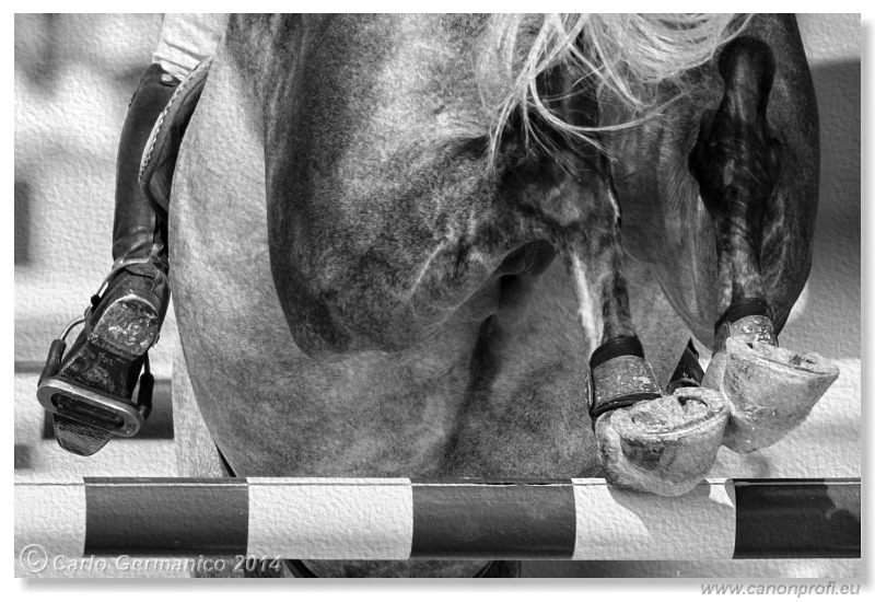 Šamorín - CSI2* Grand Prix Napoli