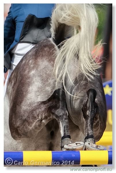 Šamorín - CSI2* Grand Prix Napoli