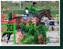 Small Tour National - jump-off